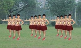 十六步广场舞教学视频,轻松入门，舞动健康生活