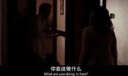 男女性关系视频,视频内容深度解析