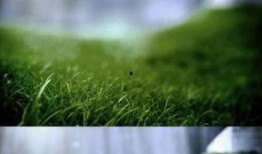 绿色视频,探索环保与可持续发展的视觉之旅