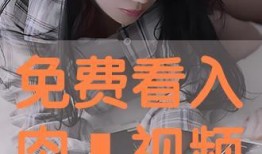 入逼视频,一场视觉与心灵的震撼之旅